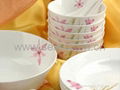 21 Pcs of Beauty's Tableware 1