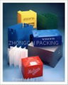 pharmaceutical packaging carton 3