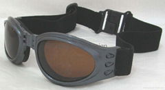 Goggle