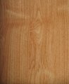 Vinyl Floor Tile - Wood Series 3