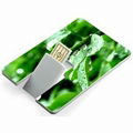 promotional credit card usb flash drive 1