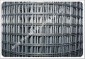 Welded Wire Mesh 