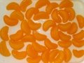 Mandarin oranges 1