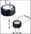 Super Capacitor EECF5R5U104/EECF5R5U224 2