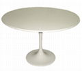 Tulip Table 1