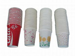 paper cup