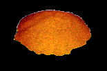 Fresh goji juice spray dried powder