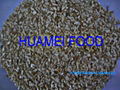 Horseradish Granules 1