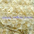 White Onion Series Products 2