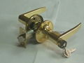 LEVER LOCK 1