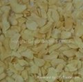 Dehydrated Garlic (granule, powder, flake)