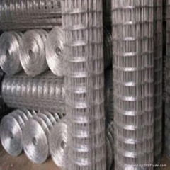 welded wire mesh