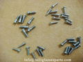 eyeglass screws supplier china