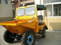 Mini site dumper