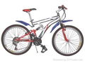 Mountain bicycle  1