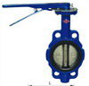 wafer type butterfly valve