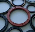 Oil-seal