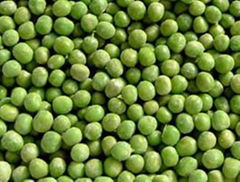 frozen green peas