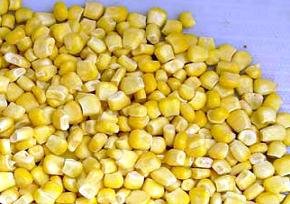 IQF sweet corn