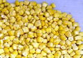 IQF sweet corn