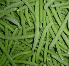 IQF green bean 