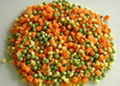 IQF mix vegetables 3