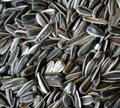 Sunflower Seeds QL-04