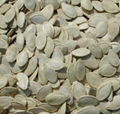 Shine Skin Pumpkin Seeds QL-09 1