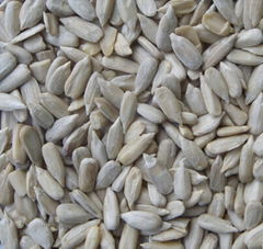 Confectionary Sunflower Seed Kernels QL-07