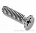 Machine Screw