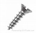 Self Tapping Screw  1