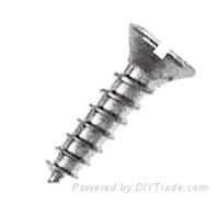 Self Tapping Screw 