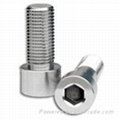 Slotted Hex Head Bolts