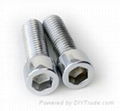 Slotted Hex Head Bolts 4