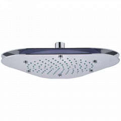 Shower Head(ST020)