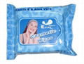 wet wipes 2