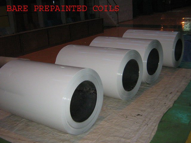 Prepainted Steel coils & sheets