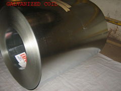 Hot Dipped Galvanized Steel Coils