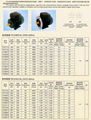 SINGLE PHASE INDUCTION MOTORS 1