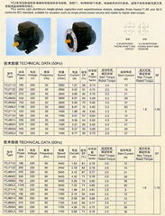 SINGLE PHASE INDUCTION MOTORS