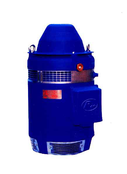 SERIES OHS VERTICAL HOLLOW-SHAFT MOTORS (WP-1)