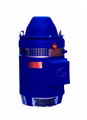 SERIES OHS VERTICAL HOLLOW-SHAFT MOTORS (WP-1)