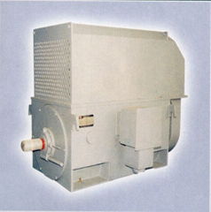 YRKK Series 6-10KV 3 Phase Asynchronous Motor