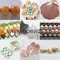 Wholesales Natural Shell Beads 1