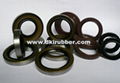 Oil Seals