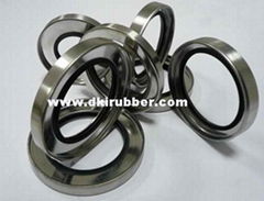 PTFE Rotary Shaft Seals