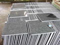 granite tiles and slabs 2