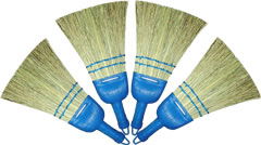 whisk broom