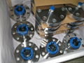 EN1092-1 Flanges