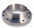 Stainless Steel Flange 1